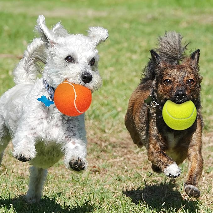 Large Dog Tennis Balls 4-Pack, 4 inch Interactive Big Dog Toy Ball for Small Medium Large Dogs, Dog Toys for Outdoor/Indoor Sports, Fetch, Training & Play-Mewly Pet