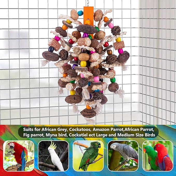 Deloky Large Parrot Bird Chewing Toys, Natural Nuts Corn Parrot Tearing Toy, Wooden Bird Cage Toy for African Grey, Macaws Cokatoos, Amazon Parrots and Other Large Birds-Mewly Pet