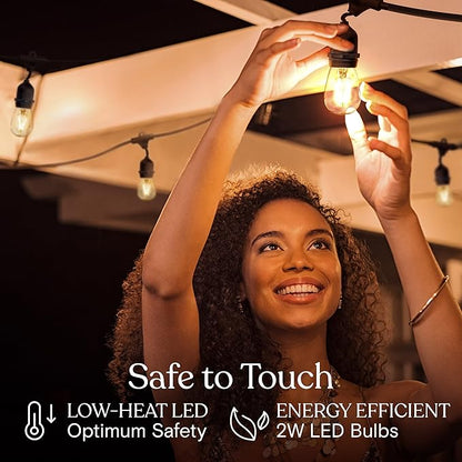 Brightech Ambience Pro - Waterproof LED Outdoor String Lights - Hanging, Dimmable 2W Vintage Edison Bulbs - 48 Ft Commercial Grade Patio Lights Create Cafe Ambience in Your Backyard