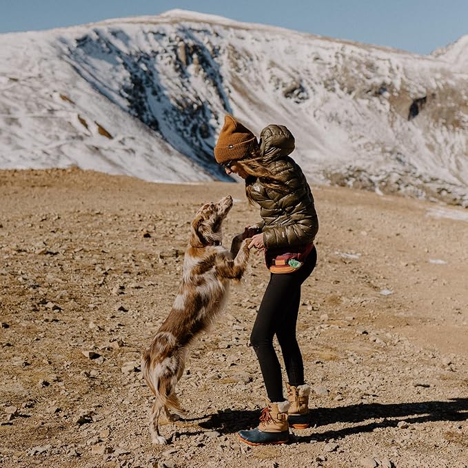 Wilderdog Utility Fanny Pack stores Treats, Balls, Keys in 3 Pockets with adjustable strap and Poop Bag dispenser (Huckleberry)-Mewly Pet