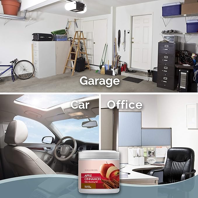 SMELLS BEGONE Air Freshener Odor Absorber Gel - 15 oz, Pack of 2 - Absorbs and Eliminates Odor in Pet Areas, Bathrooms, Cars, & Boats - Made with Essential Oils - Apple Cinnamon Scent-Mewly Pet