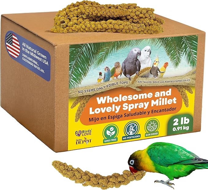 Birds LOVE Wholesome & Lovely Spray Millet Non-GMO for Birds Cockatiel Lovebird Parakeet Finch Canary All Parrots Healthy Treat - 2LBS-Mewly Pet