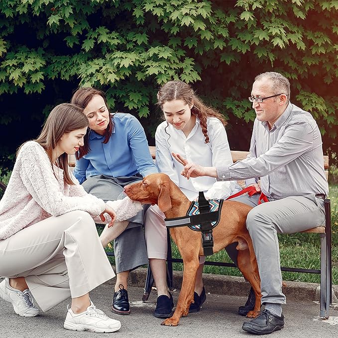 Dogline Dog Harness, Reflective No-Pull Adjustable Vest with Handle for Walking, Training, Breathable, No - Choke Harness for Small, Medium or Large Dogs Room for Patches Aztec Design 2 L 27"-34"-Mewly Pet