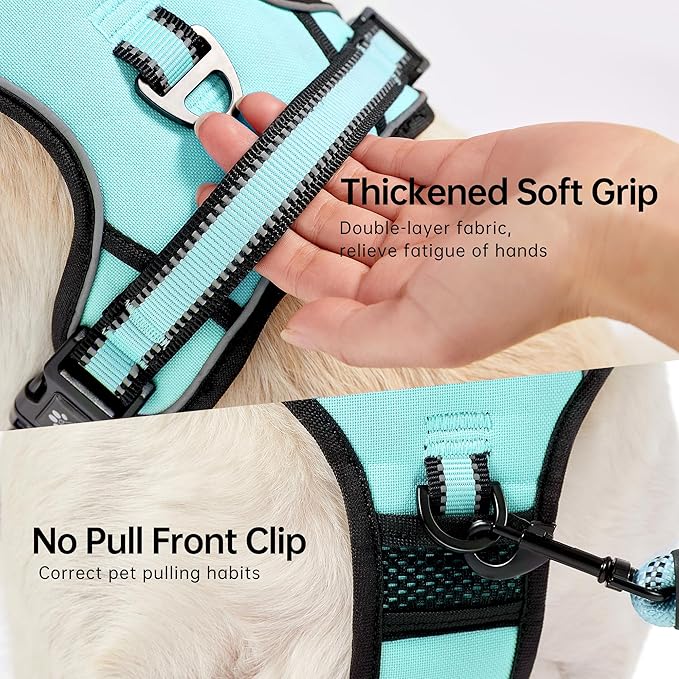 NESTROAD No Pull Dog Harness,Adjustable Oxford Dog Vest Harness with Leash,Reflective No-Choke Pet Harness with Easy Control Soft Handle for Medium Dogs(Medium,Turquoise)-Mewly Pet
