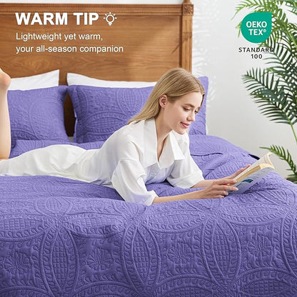 Love's cabin King Size Quilt Bedding Set Deep Purple Bedspreads - Bed Summer Lightweight Bedspread Comforter - Coin Pattern Bedding Coverlet for All Season - 3 Pieces (1 Quilt, 2 Pillow Shams)