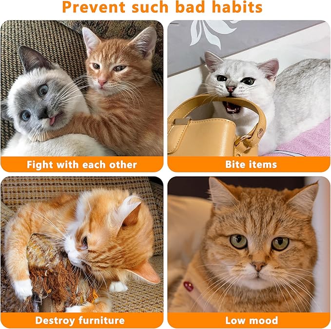 Catnip Toys for Indoor Cats, 5 Pack Cat Toys for Cats, Fluffy Catnip Toys for Chewing Playing, Interactive Kitten Toys, Catnip Filled Kitty Chew Teething Toys, Cat Chew Toys (Smile,5 Pack)-Mewly Pet