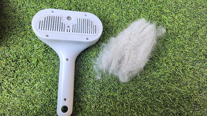 Cat Steam Brush for Shedding, Self Cleaning Cat Brush with Water Spray, 3-in-1 Design for Massage, Hair Removal, and Cleaning, Steamy Brushes for Indoor Cats and Dogs (White)-Mewly Pet