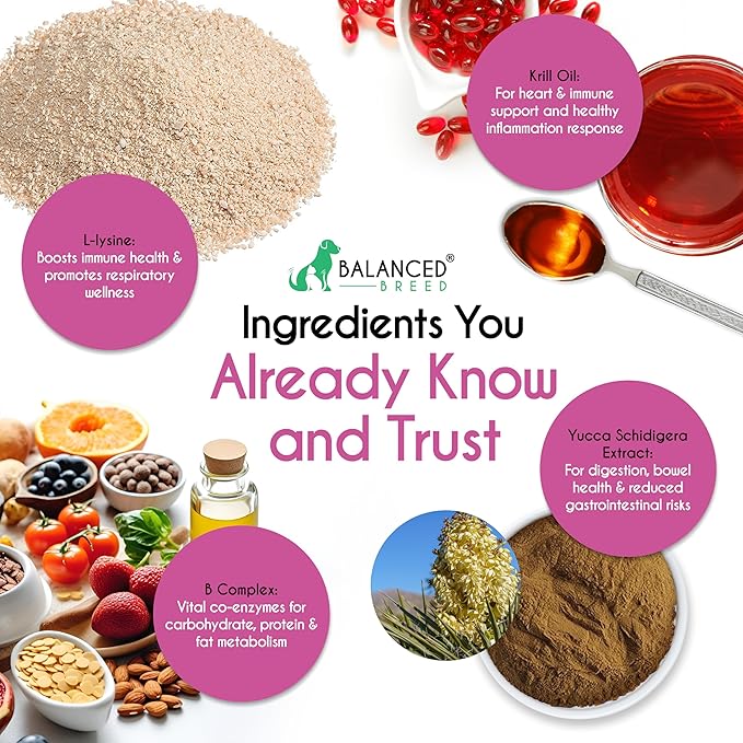 Balanced Breed L-Lysine Cats Immune Support Soft Chews Made in USA Vet-Pharmacist Approved Seasonal Allergy Relief Cat Vitamins Indoor Cats Supplements Krill Oil Asthma Relief Cat Lysine Treats NonGMO-Mewly Pet