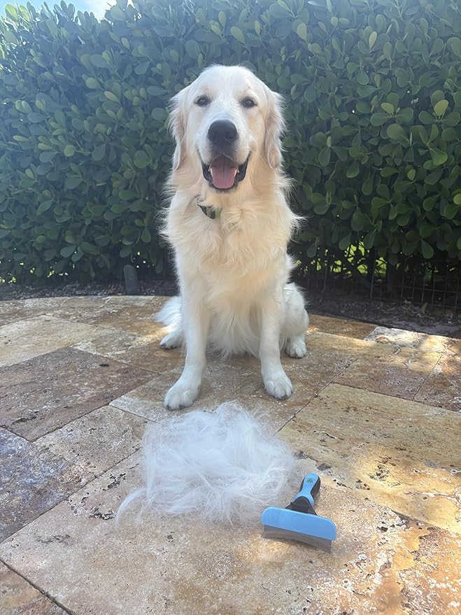 Large Pet Grooming Brush - Deshedding Dematting Tool, Undercoat Deshedding for Dogs & Cats, Extra-Wide and Curved Grooming Brush & Deshedder Comb for Long Hair, Reduces Shedding-Mewly Pet