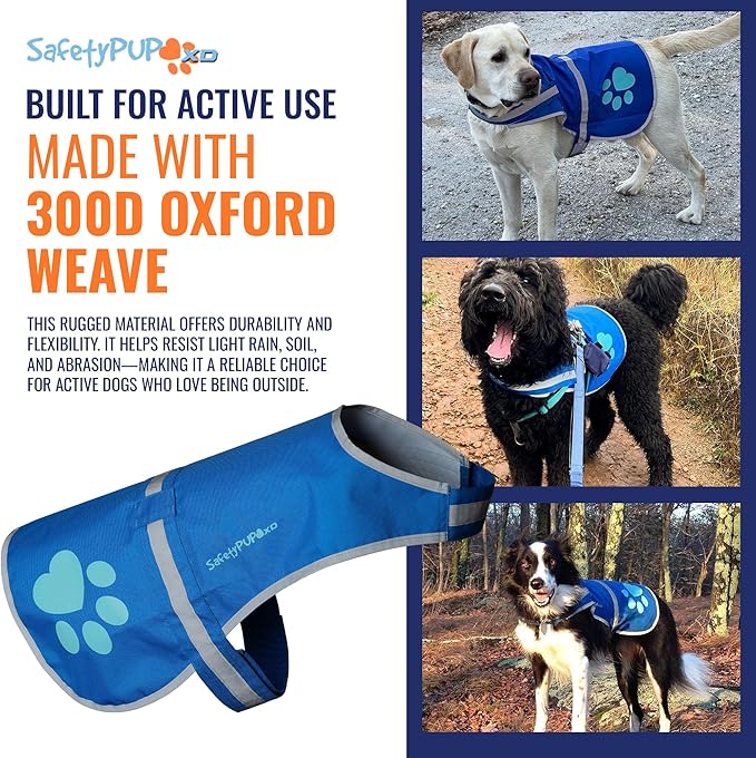 Dog Reflective Vest – Hi-Vis Fluorescent Visibility That Helps to Safeguard Your Pet On/Off Leash in Urban & Rural Areas (Blue, X-Small)-Mewly Pet