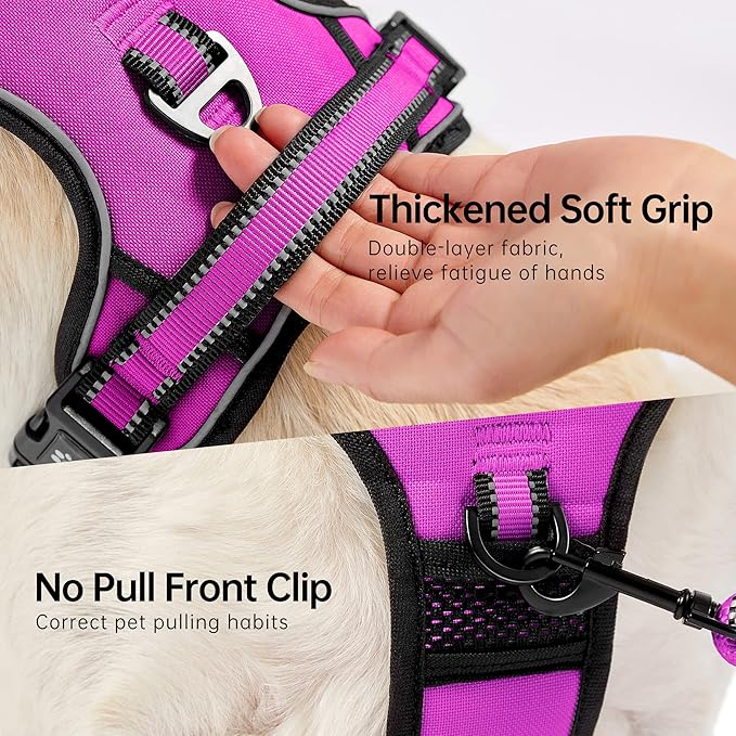 NESTROAD No Pull Dog Harness,Adjustable Oxford Dog Vest Harness with Leash,Reflective No-Choke Pet Harness with Easy Control Soft Handle for Large Dogs(Large,Fuchsia Pink)-Mewly Pet