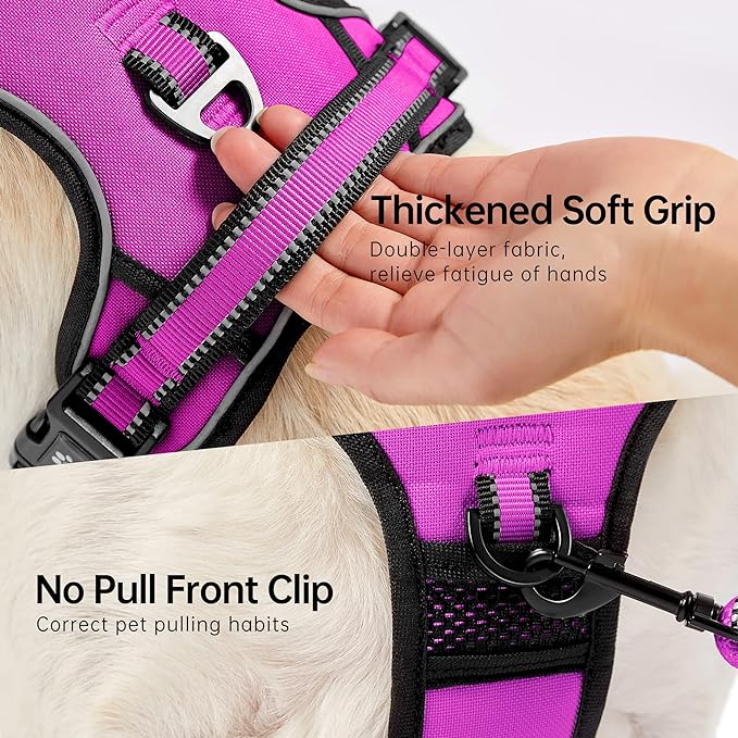 NESTROAD No Pull Dog Harness,Adjustable Oxford Dog Vest Harness with Leash,Reflective No-Choke Pet Harness with Easy Control Soft Handle for Small Medium Dogs(Medium,Fuchsia Pink)-Mewly Pet