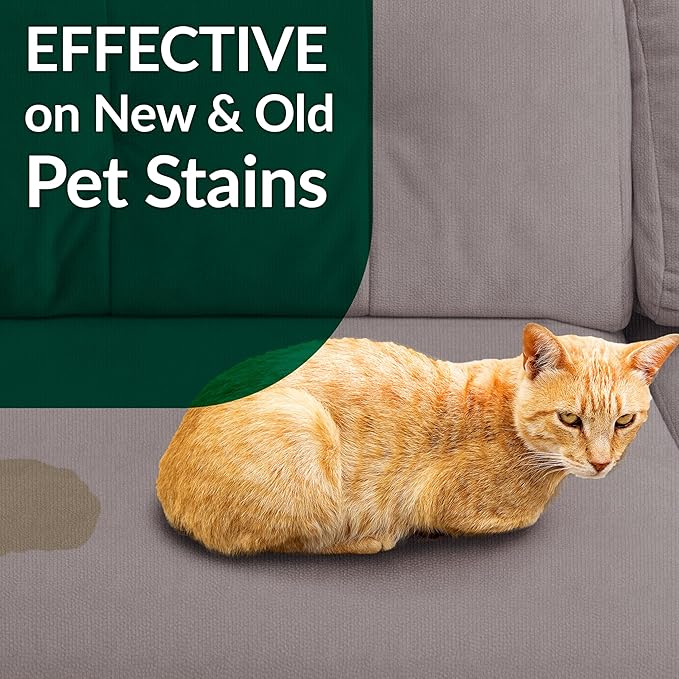 Simple Green Cat Stain & Odor Remover - Enzyme Cleaner for Cat Urine, Feces, Blood, Vomit (32 oz Sprayer & 1 gallon Refill)-Mewly Pet