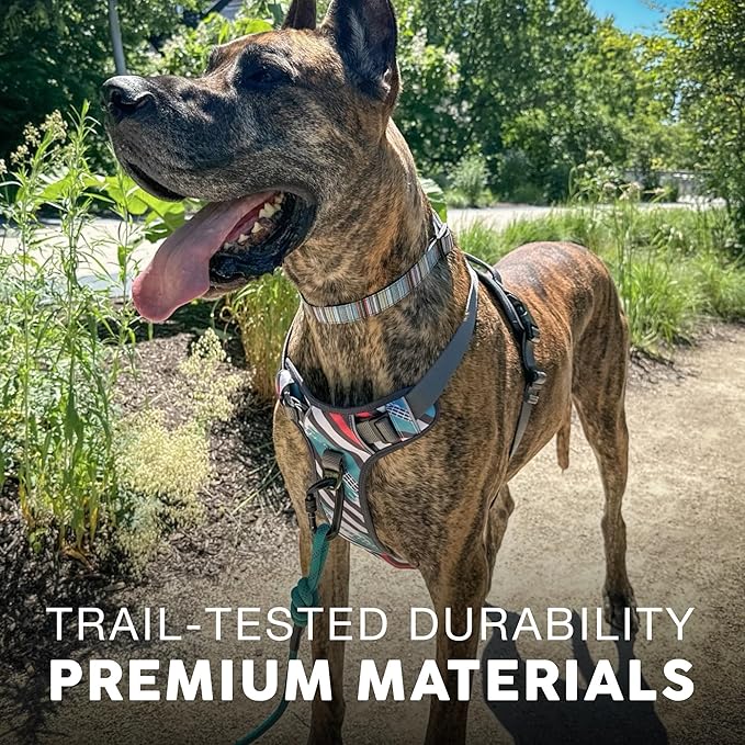 Embark Adventure Dog Harness, Reflective Trim No Pull Dog Harness Medium Sized Dogs - Military Grade Nylon, Front Clip with Gel Lined Handle.-Mewly Pet
