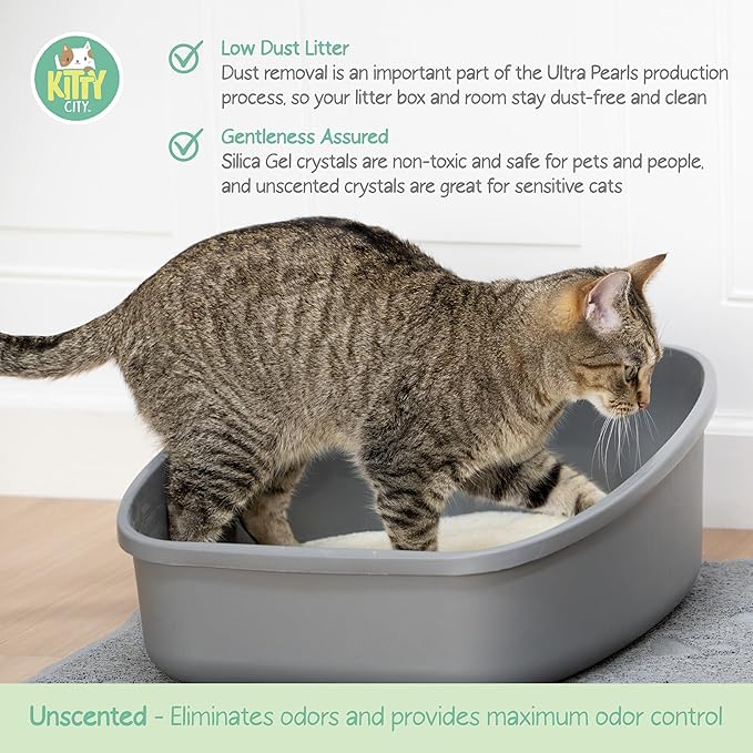 Kitty City PH Crystals Cat Litter 6LB-Mewly Pet