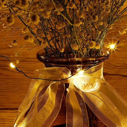 Twinkle Star, 4 Inches Indoor Outdoor, LED String Light Dimmable Control Starry Green Wire Lights Home Lighting Bedroom Wedding X-mas Party Decoration, Warm White