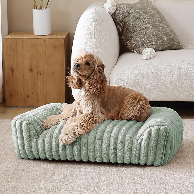 Arlee Saddle Sofa Memory Foam Pet Bed, Comfortable & Washable, Ideal for Dogs and Puppies, Extra Comfort, Couch Design, Crate & Kennel Furniture, Pet Supplies & Essentials, Sage, Medium-Mewly Pet