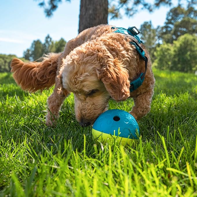 Outward Hound by Nina Ottosson Treat Tumble Interactive Puzzle Ball Dog Toy, Level 1 Beginner, Blue, Small (4.75" Diameter)-Mewly Pet