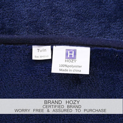 Soft Queen Size Blanket All Season Warm Fuzzy Microplush Lightweight Thermal Fleece Blankets for Couch Bed Sofa,90x90 Inches,Royal Blue