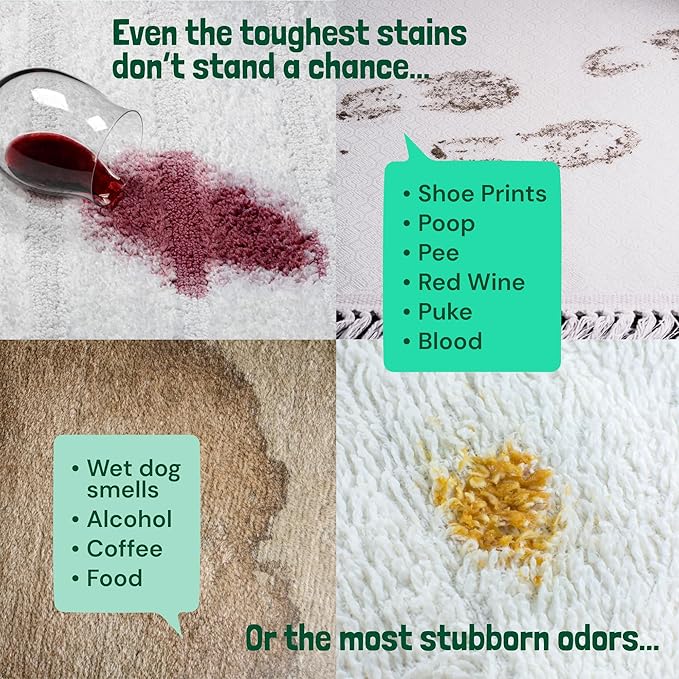 Sunny & Honey Carpet Shampoo & Cleaning Solution - 32 Fl Oz Spring Mint Scent - Pet Carpet Cleaner Machine Solution - Rug & Upholstery Cleaner - Stain Remover & Odor Deodorizer-Mewly Pet