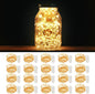 MUMUXI 20 Pack 3.3ft Fairy String Lights Battery Operated, Mini LEDs for Party Wedding Centerpiece Decorations, Crafts, Mason Jar Firefly Lights, Warm White