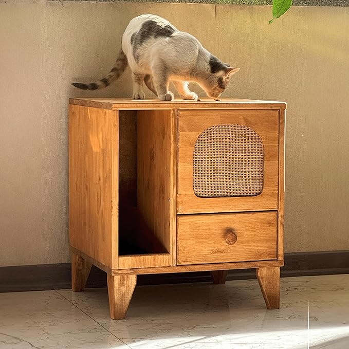 Cat Litter Box | Hidden Litter Box Furniture with Removable Divider | Wooden Cat Washroom Furniture | Indoor Cats House (Wood)-Mewly Pet
