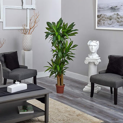 Nearly Natural 62IN Artificial Corn Stalk Dracaena Plant, Tall Fake Plant for Indoor Home Décor, Real Touch Faux Plant