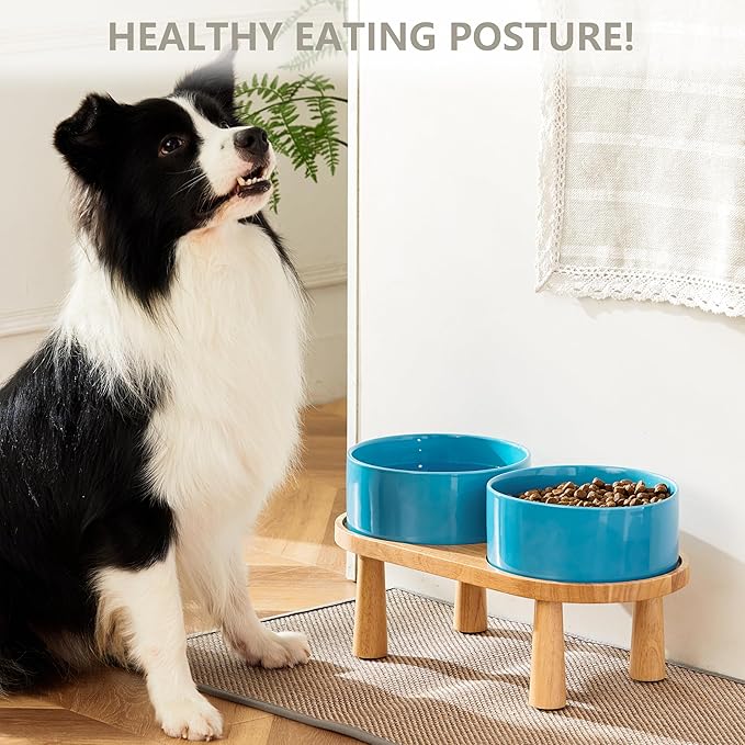 Ceramic Elevated Dog Bowls, Pet Food and Water Bowl Set for Large Dogs, 7.5 Cups Dog Bowls Raised with Wood Stand, 61OZ, Blue-Mewly Pet