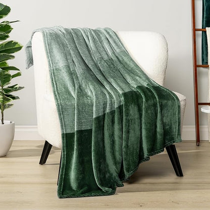 Pavilia Green Ombre Fleece Bed Blanket, Soft & Lightweight, Emerald Forest Green Gradient, Cozy Microfiber, Twin Size (60x80)