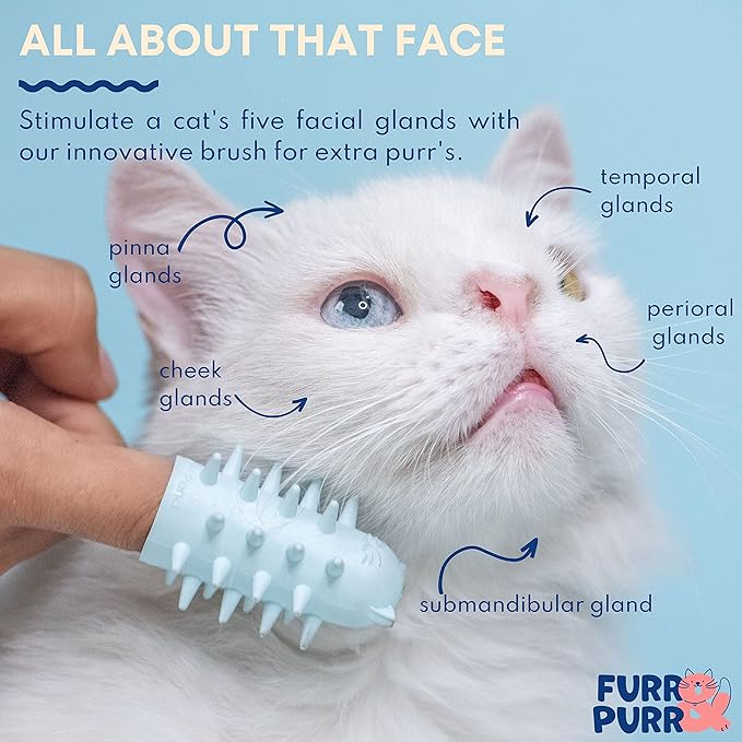 Furr&Purr Cat Brush Set for Indoor Cats - Grooming Tools: Face Scratcher, Calming Massager, and Scratching Pad (2-Pack, Made in the USA)-Mewly Pet