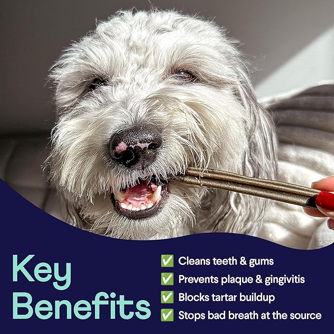 Finn Plaque Patrol Dental Chews | Triple-Action Defense Against Plaque, Tartar, and Bad Breath | for Medium/Large Dogs, 25+ lbs-Mewly Pet