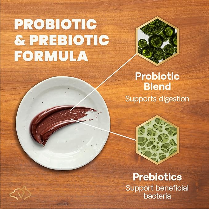 VetriScience Quick Action Diarrhea Aid Paste with Probiotics & B Vitamins, Fast Balance Digestive Support Supplement for Dogs and Cats, Gut Balancer, Help Stop Diarrhea, Unflavored, 35 cc-Mewly Pet