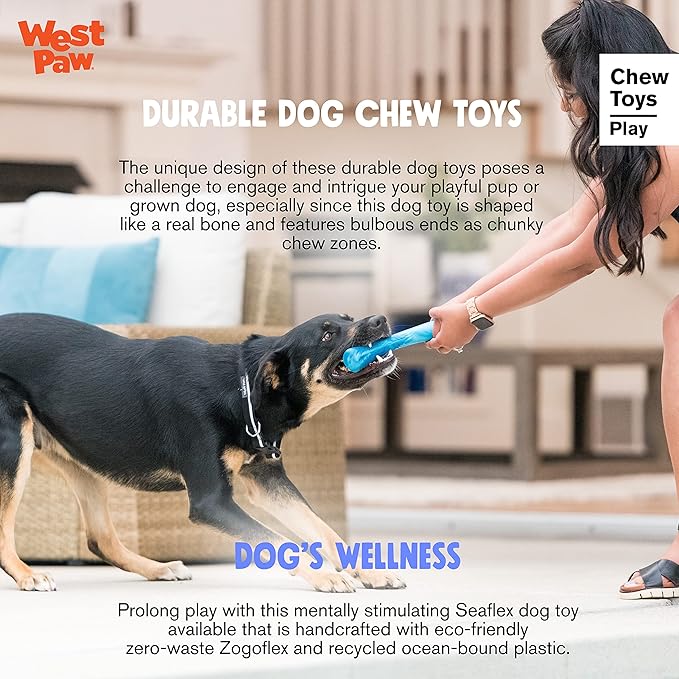 WEST PAW Seaflex Drifty Dog Toy – Machine Washable Dog Toys for Moderate Chewers – Eco-Friendly Zogoflex Toys for Dogs – Perfect for Gnawing, Fetch, Catch, Pet Training – 5.75" Small, Emerald-Mewly Pet