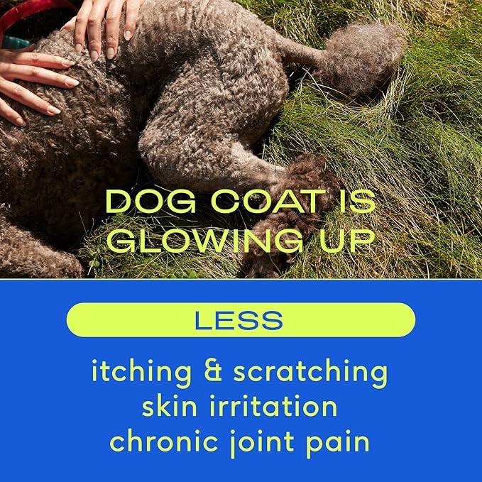 Native Pet Omega Oil for Dogs - Dog Fish Oil Supplements & Relief - Anti-Inflammatory Chews for Dogs | 60 Dog Chews | 8 oz. Omega Oil | Best Dog Arthritis Supplement & Dog Joint Pain Relief-Mewly Pet