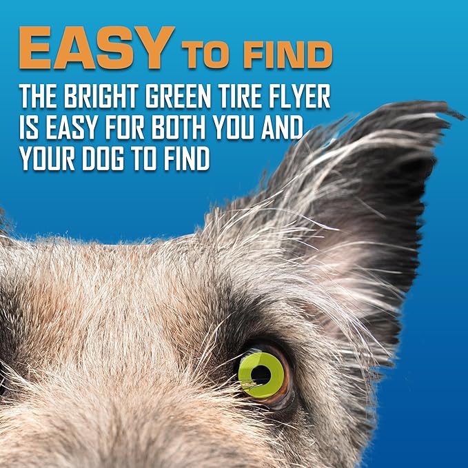 Nerf Dog Atomic Flyer Outdoor Dog Toy, 10 Inch Flying Disc Dog Fetch Toy, Rubber Dog Toy for Medium Dogs and Large Dogs, Green-Mewly Pet