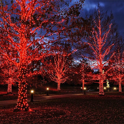 Red Christmas Lights Indoor Outdoor, 33 FT 150 Count Incandescent Mini String, 120V UL Certified Green Wire for Xmas Tree, Wreath, Patio, Holiday, Party, Home, Garden Decorations