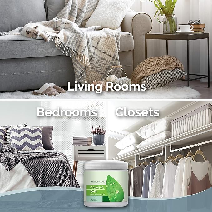 SMELLS BEGONE Air Freshener Odor Absorber Gel - 15 oz, Pack of 2 - Absorbs and Eliminates Odor in Pet Areas, Bathrooms, Cars, & Boats - Made with Essential Oils - Calming Rain Scent-Mewly Pet