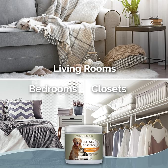 SMELLS BEGONE Air Freshener Pet Odor Absorber Gel - 15 oz, Pack of 2 - Absorbs and Eliminates Odor in Pet Areas, Bathrooms, Cars, & Boats - Made with Essential Oils - Citrus Scent-Mewly Pet