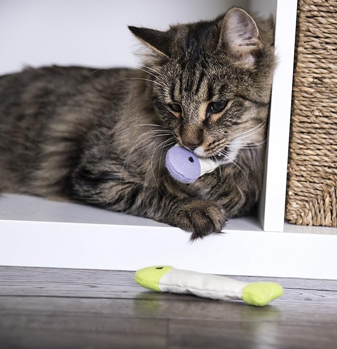 SmartyKat (3 Count) Fish Flop Crinkle Catnip Cat Toys - Multi Color, 3 Count-Mewly Pet