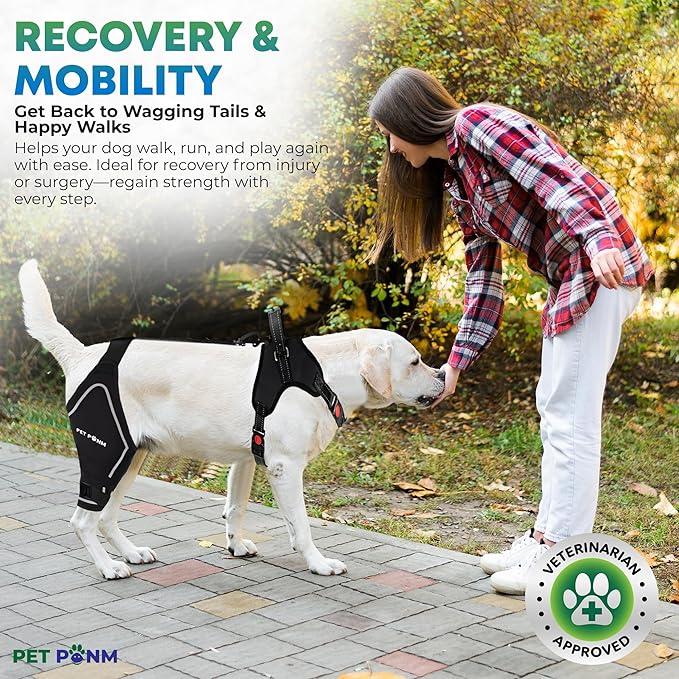 Comfortable Dog Knee Brace for Both Hind Legs with Harness - for ACL Tear, Luxating Patellae, Osteoarthritis & Instability - for Recovery & Injury Prevention in Active/Aging Dogs - (XSmall)-Mewly Pet