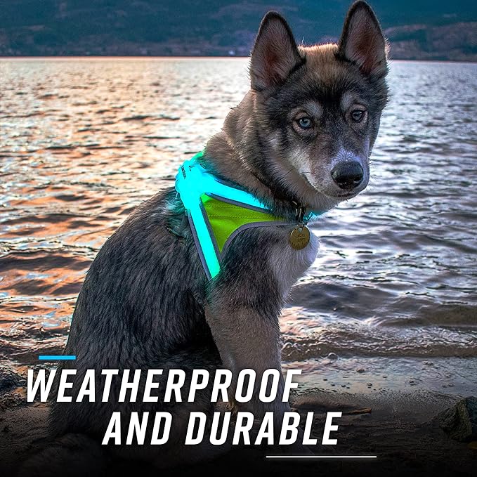 Noxgear LightHound – Revolutionary Illuminated and Reflective Harness for Dogs Including Multicolored LED Fiber Optics (USB Rechargeable, Adjustable, Lightweight, Rainproof) (Large)-Mewly Pet