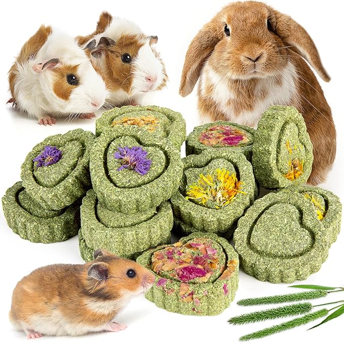 Sofier 12Pcs Timothy Hay Treats - Natural Chews for Teeth - Handmade Rabbit, Chinchilla, Gerbil, Rat, Hamster Toys - Bunny & Guinea Pig Toys-Mewly Pet