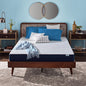 Sleep Innovations Marley Hybrid 10 Inch Cooling Gel Memory Foam and Innerspring Coil Mattress, Cal King Size, Bed in a Box, Medium Firm Advanced Support