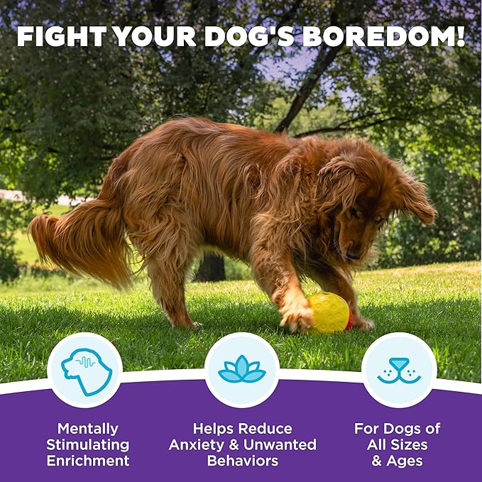 Outward Hound by Nina Ottosson Treat Tumble Interactive Puzzle Ball Dog Toy, Level 1 Beginner, Pink, Large (5.75" Diameter)-Mewly Pet