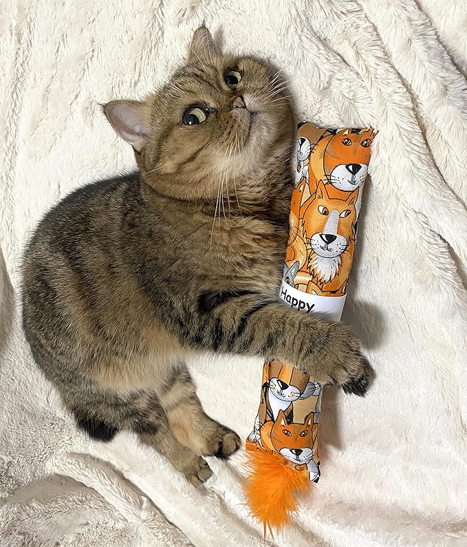 2 Pack Natural Interactive Catnip Cat Kicker with Feathers, Bite Resistant Chew Toy, Crinkle Kicker, Accessories for Indoor Cat-Mewly Pet