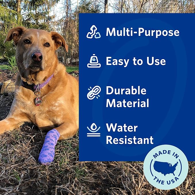 PetFlex Paw Pack – Flexible Self-Adhering Elastic Bandage for Wound Care – First Aid Wrap for Small Animals Like Dogs, Cats, and Other Pets - 2 inch, 6 Rolls