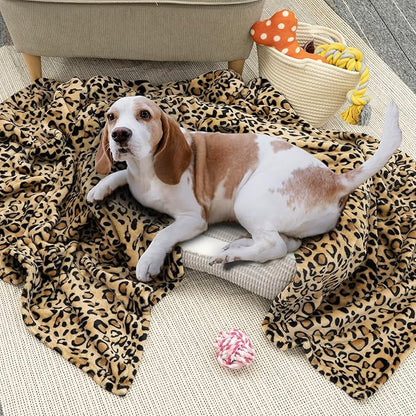 PAVILIA Cheetah Fleece Throw Blanket | Cheetah Leopard Animal Print Flannel Blanket | Soft Velvet Lightweight Microfiber Blanket for Couch Sofa | 50x60 Inches
