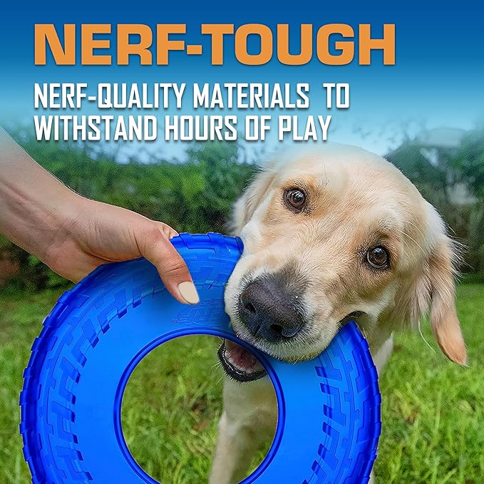 Nerf Dog Tire Flyer Dog Toy Gift Set, 10 Inch Flying Disc Dog Fetch Toys, Rubber Dog Toy for Medium Dogs and Large Dogs, Red, Translucent Green and Translucent Blue, 3 Count-Mewly Pet