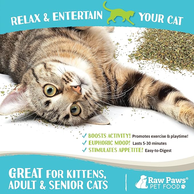 Raw Paws Fresh Catnip for Cats, 1-oz (2 Cups) - Use for Refillable Catnip Toys for Cats - Natural Dried Cat Nip-Mewly Pet