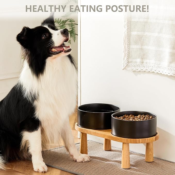 Ceramic Elevated Dog Bowls, Pet Food and Water Bowl Set for Large Dogs, 7.5 Cups Dog Bowls Raised with Wood Stand, 61OZ, Black-Mewly Pet